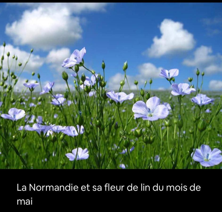 Appartement Veules Roses , La Cressonniere: « Veules & Victor «  Veules-les-Roses Exterior foto